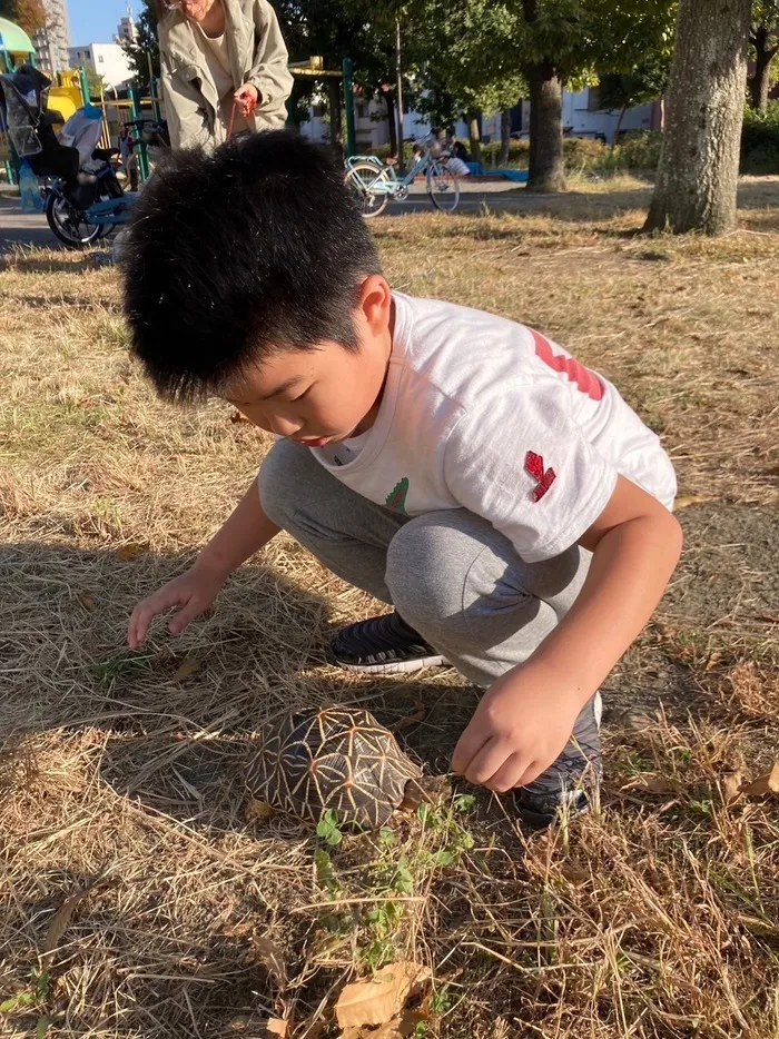 こぱんはうすさくら川崎幸教室/秋探しの旅🍂