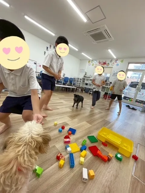 こどものひだまり成育/べるちゃん＆だいちゃんとあそぼう🐶