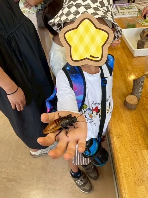 こどものひだまり成育/橿原市昆虫館🦋