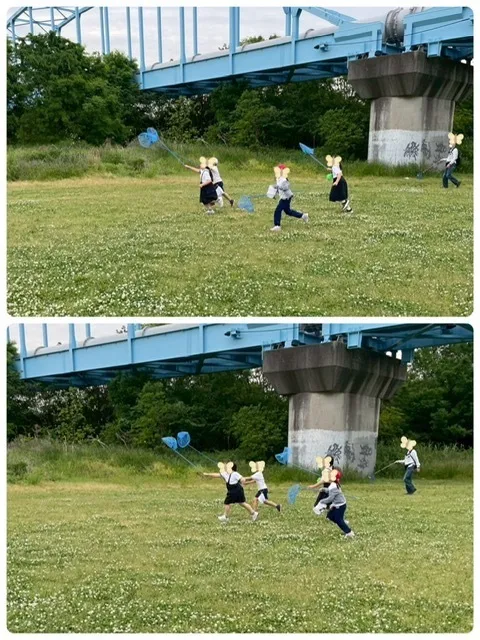 こどものひだまり成育/春を探しに公園へいこう🦋