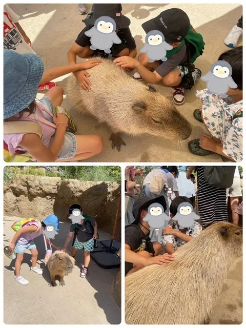 こどものひだまり成育/神戸どうぶつ王国🐓