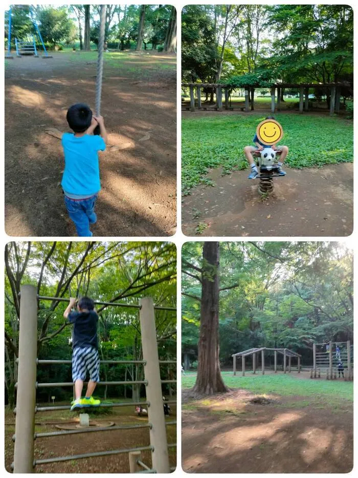 ひらめきラボ　｜運動療法に特化した放課後等デイサービス/初夏の滝の城址公園