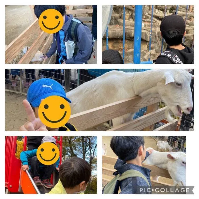 ひらめきラボ　｜運動療法に特化した放課後等デイサービス/智光山公園こども動物園