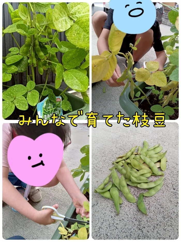 児童発達支援・放課後等デイサービス シュエット南柏教室/食育