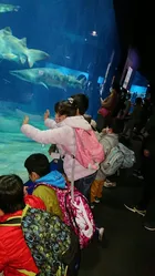 クオリティ・オブ・ライフ保土ケ谷支援教室/12月29日　大洗水族館🐠