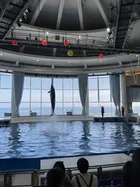 クオリティ・オブ・ライフ保土ケ谷支援教室/12月28日　大洗水族館