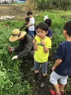 クオリティ・オブ・ライフ保土ケ谷支援教室/8月20日 夏野菜の収穫！