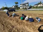 クオリティ・オブ・ライフ保土ケ谷支援教室/11月10日　お芋ほりを行いました!!