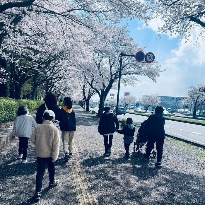 クオリティ・オブ・ライフ保土ケ谷支援教室/春休みカリキュラム 【お花見】