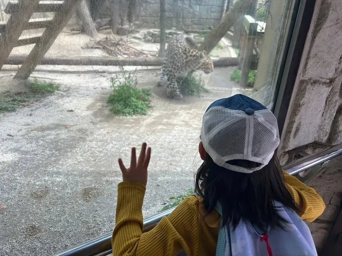 療育サポートこばると/動物園へ行ってきました🐆