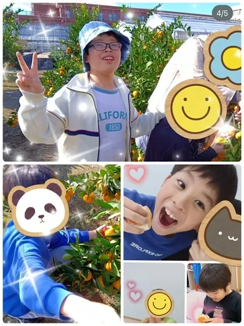 こぱんはうすさくら綱島教室/みかん狩りへレッツゴー🚙💨