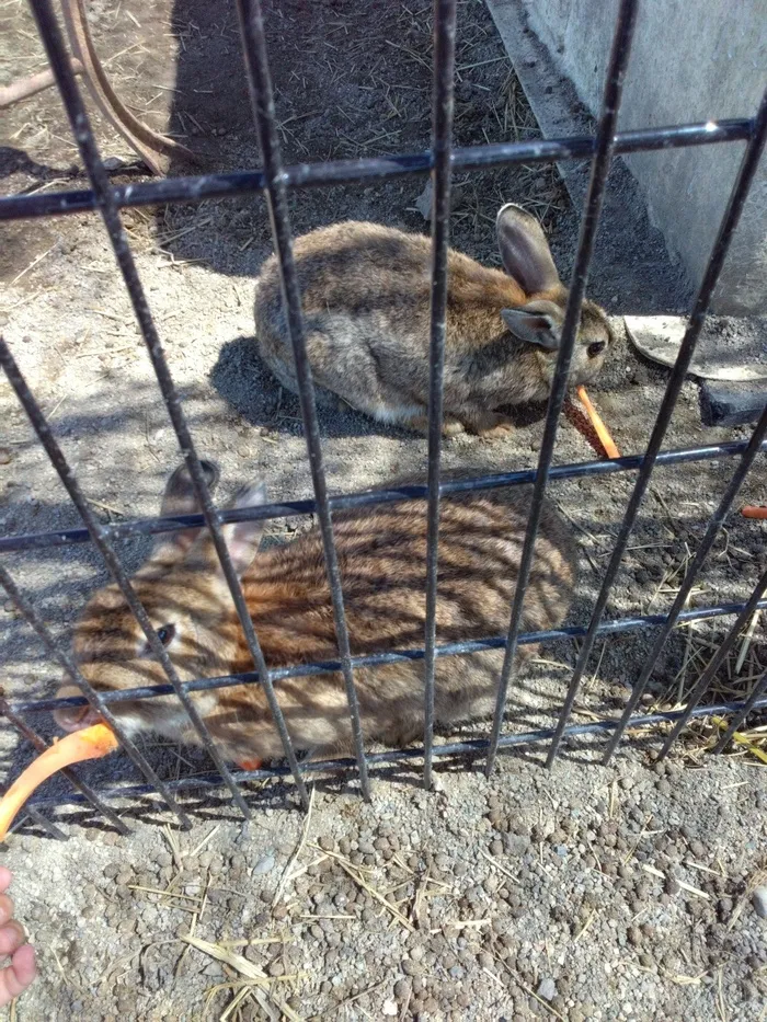 ヒトツナ金沢黒田教室/遠足行ってきました🚙