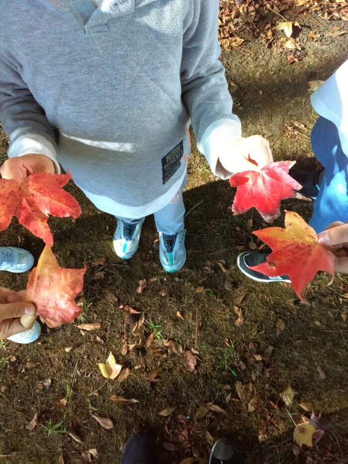 ヒトツナ金沢黒田教室/秋のお散歩に行ってきました🍁