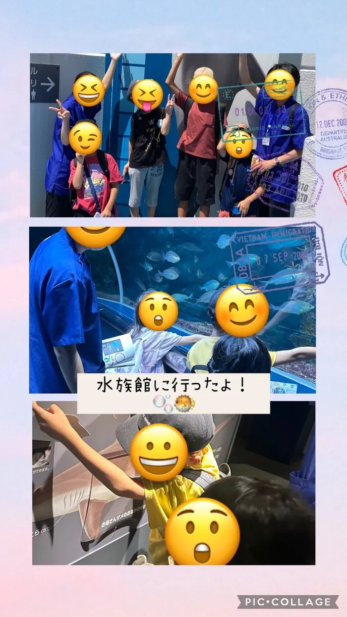 【１日（終日）療育可能 / 送迎有り】こぱんはうすさくら新潟中央教室/水族館に行ったよ！🫧🐡