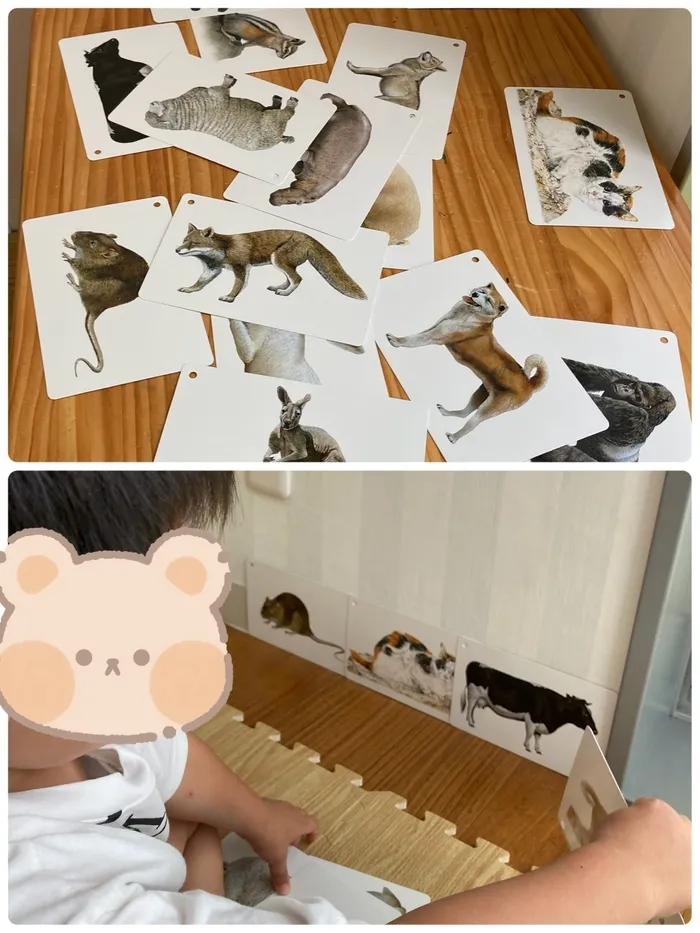 児童発達支援　ヒトツナ麻布教室/どうぶつをあつめよう！🐇🦁