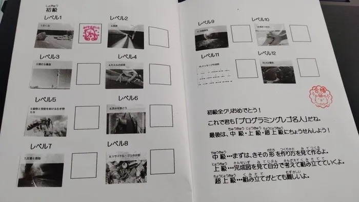 「言語聴覚士プログラム火曜16時・木曜日17時～プログラミングレゴ～ビジョントレーニング/プログラミングレゴのステップ💹