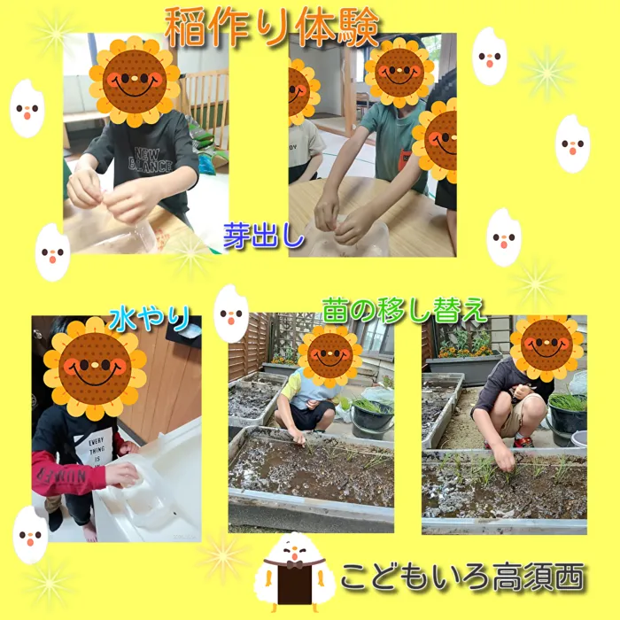 こどもいろ高須西/🌾稲づくり体験🌾