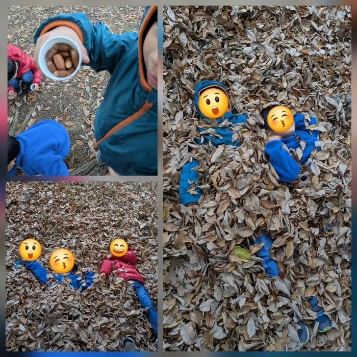 児童発達支援ひなぎく/落ち葉遊び