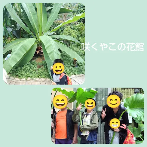 cocoro/🌵咲くやこの花館🌵