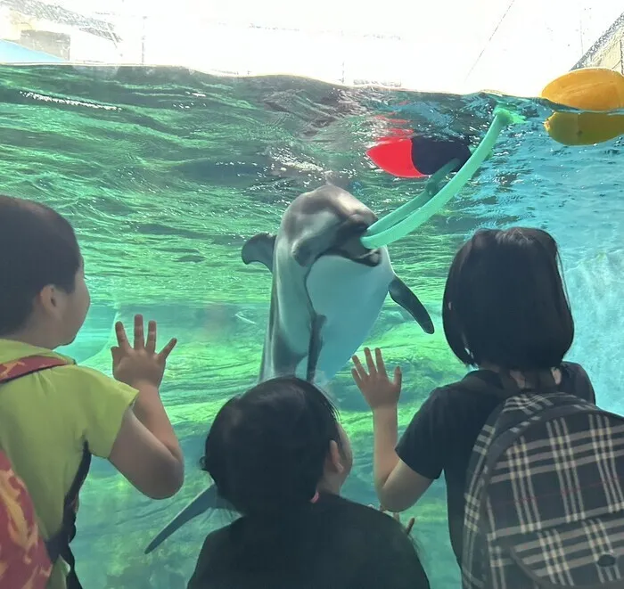 cocoro/🐳海遊館🐳