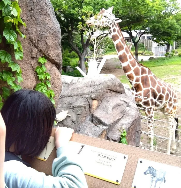 cocoro/🦒天王寺動物園へお出掛け🦒