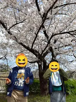 cocoro/🌸大阪城へお花見🌸