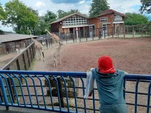 はぴねすスタディ若槻/【はぴねすスタディ若槻】動物園へ行こう！