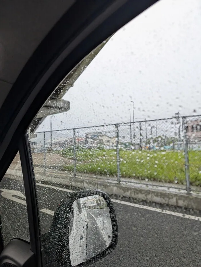  heath（ヒース）/☔️雨☂️