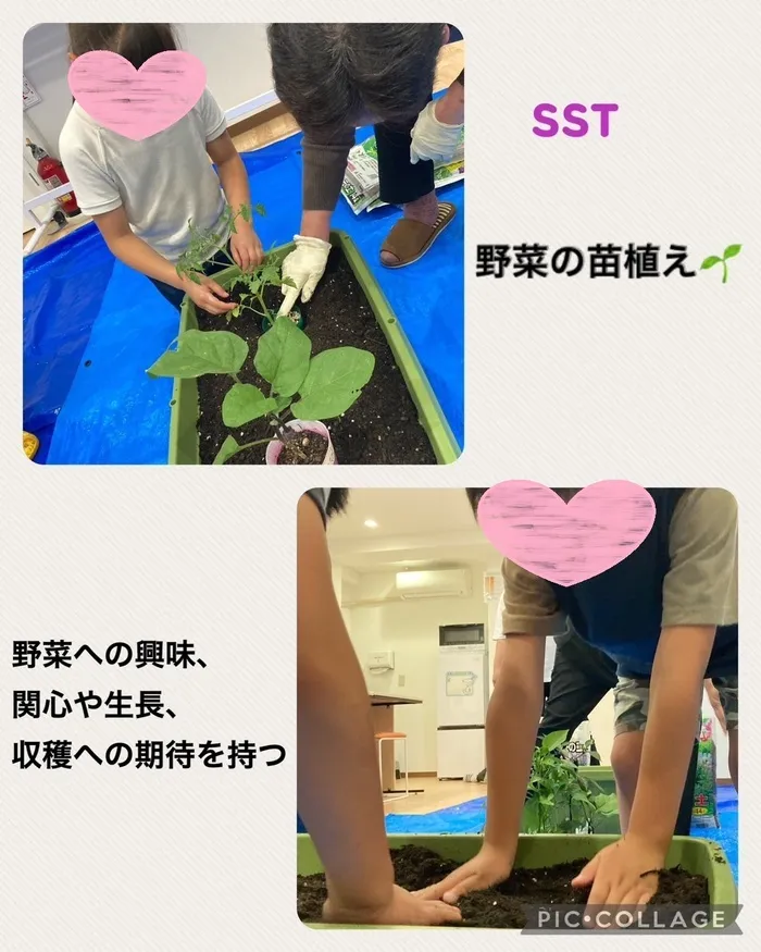 放課後等デイサービス　ラビットキッズ岐阜/野菜の苗を植えました