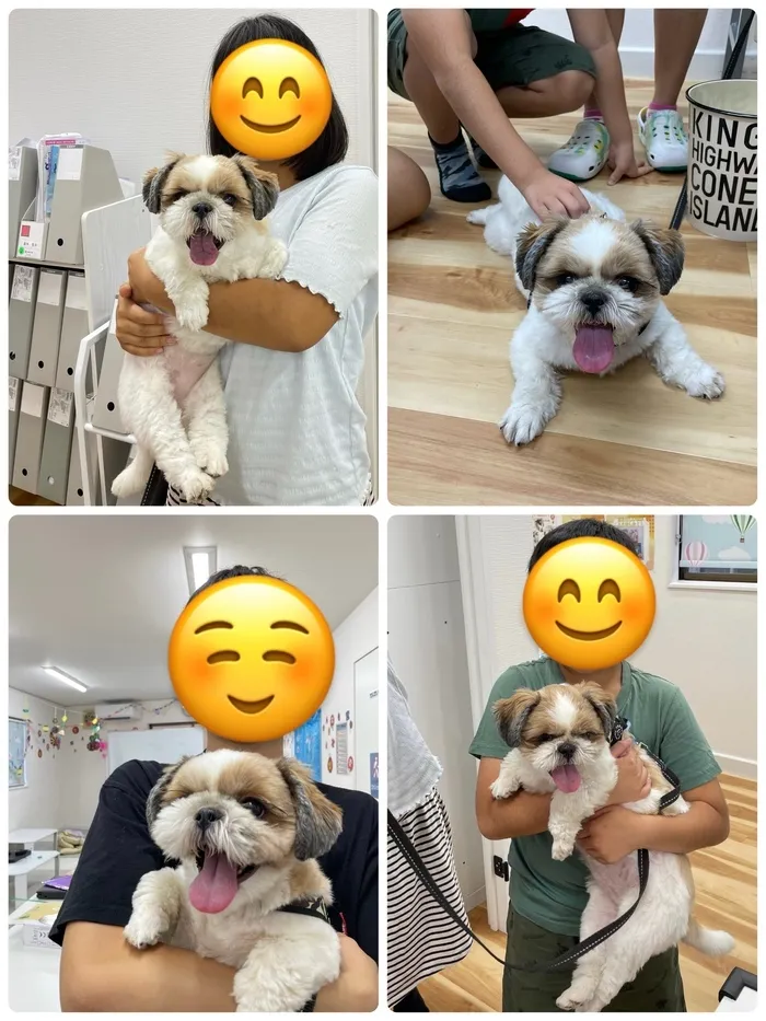 Gripキッズ大宮日進校/🐕動物ふれあい体験🐶