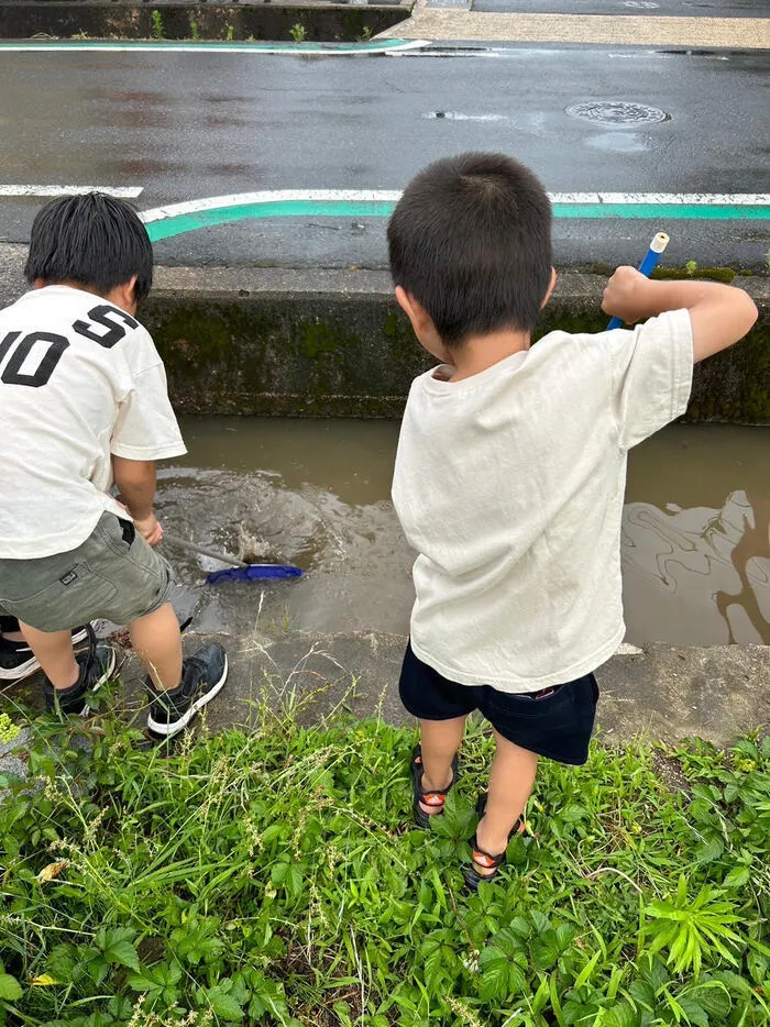 キッズ京丹後峰山教室/雨上がりの川で生き物探し！