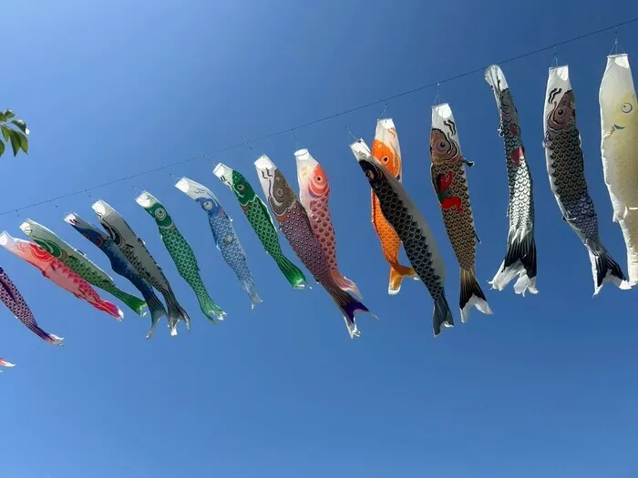 放課後等デイサービスぽかぽか吉田町/子どもの日🎏✨