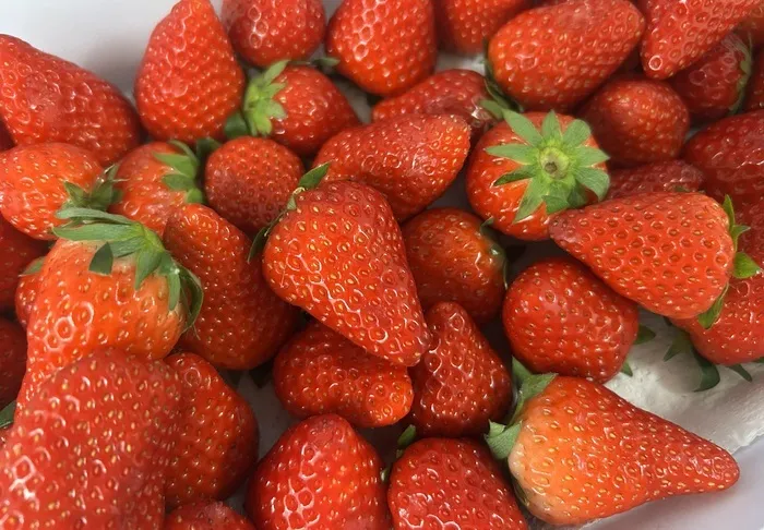 放課後等デイサービスぽかぽか吉田町/美味しいおすそ分け🍓