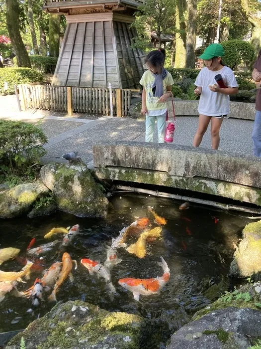 放課後等デイサービスぽかぽか吉田町/鯉のエサやり🐟