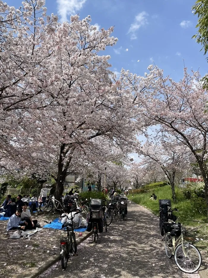 ファイブスター/近くの公園について