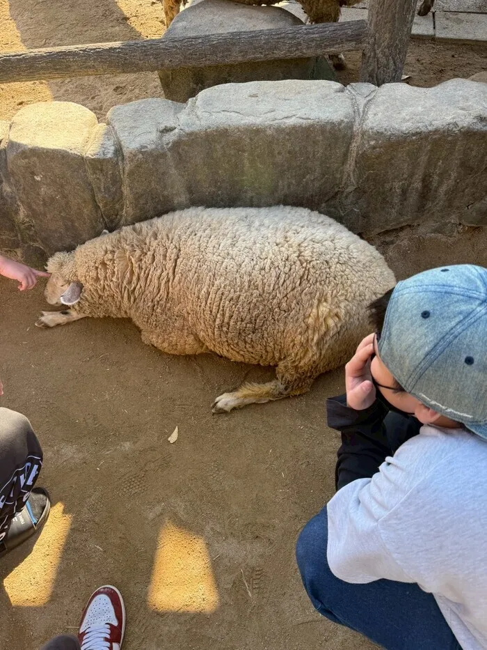 放課後等デイサービス　ビジョンプラスリバティ/安佐動物園🐘