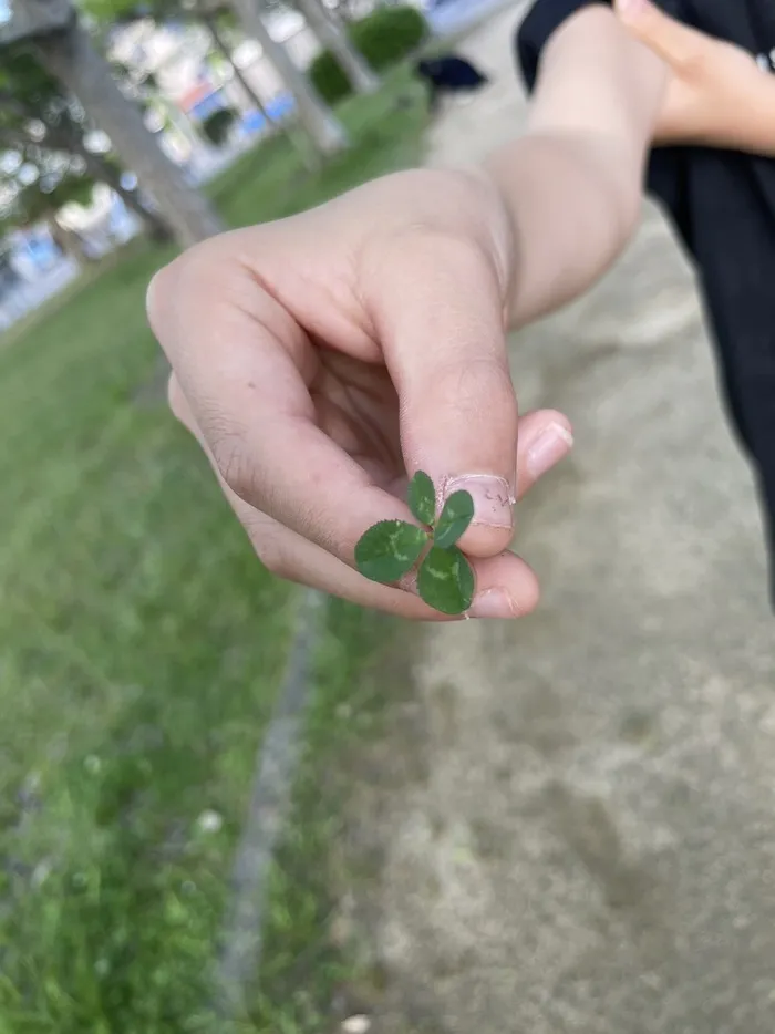 放課後等デイサービス　ビジョンプラスリバティ/四つ葉のクローバー🍀