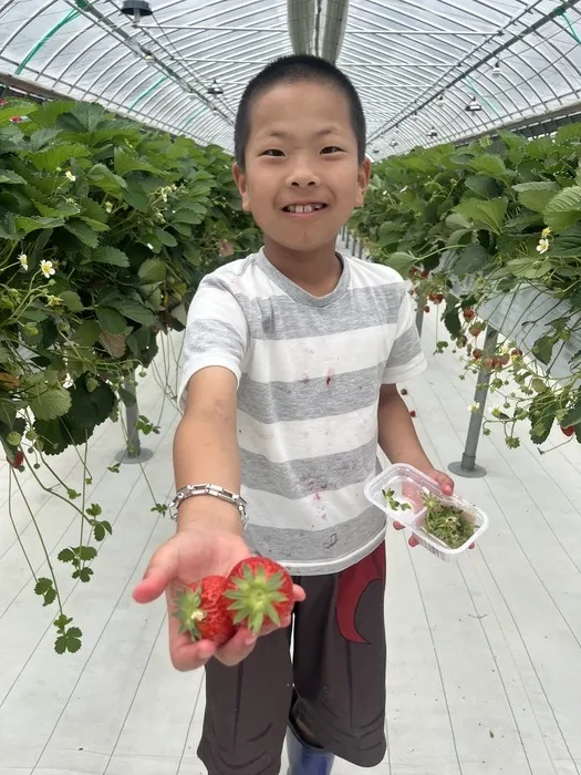放課後等デイサービス　ビジョンプラスリバティ/イチゴ狩り🍓