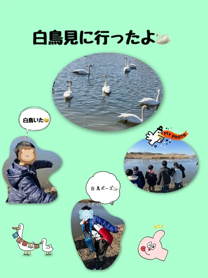 【古河市の運動療育・学習支援/送迎あり】ねくすとすてっぷonanuma/白鳥見にいったよ🦢