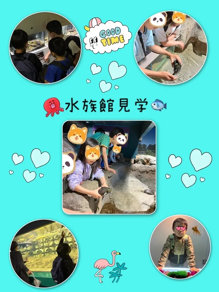 【古河市の運動療育・学習支援/送迎あり】ねくすとすてっぷonanuma/お魚いっぱいいたよ🐟