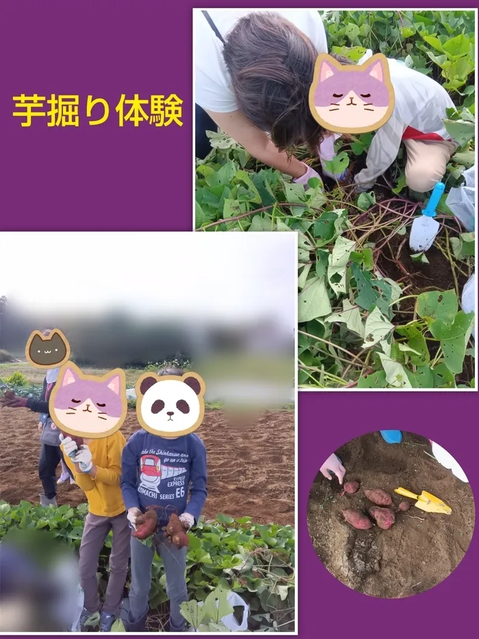 ブロッサムジュニア横浜鴨居教室(児童発達支援・放課後等デイサービス)/芋掘り体験🍠