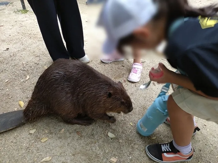 【博多区・志免町・須恵町・宇美町　利用者募集中！】 TetoTe/トリアス動物園でたくさんの動物とふれあいました！