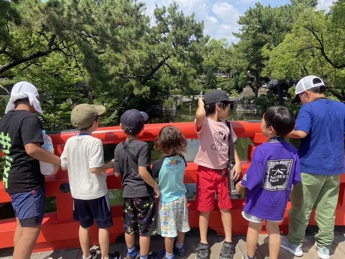 きりんのあくびkids さんのせ/住吉大社⛩️