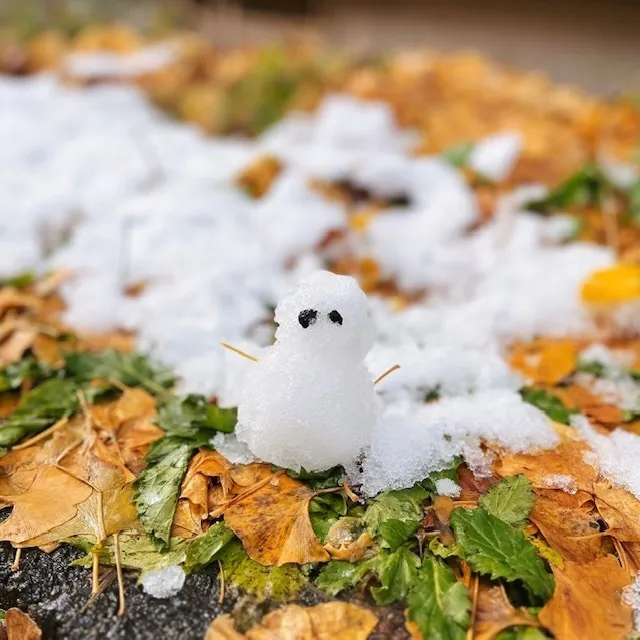 ぐっどすまいる 盛岡みたけ/⛄冬到来⛄