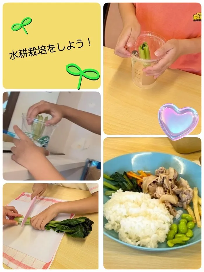 らもーれこども教室　元八事/水耕栽培をしよう🍃