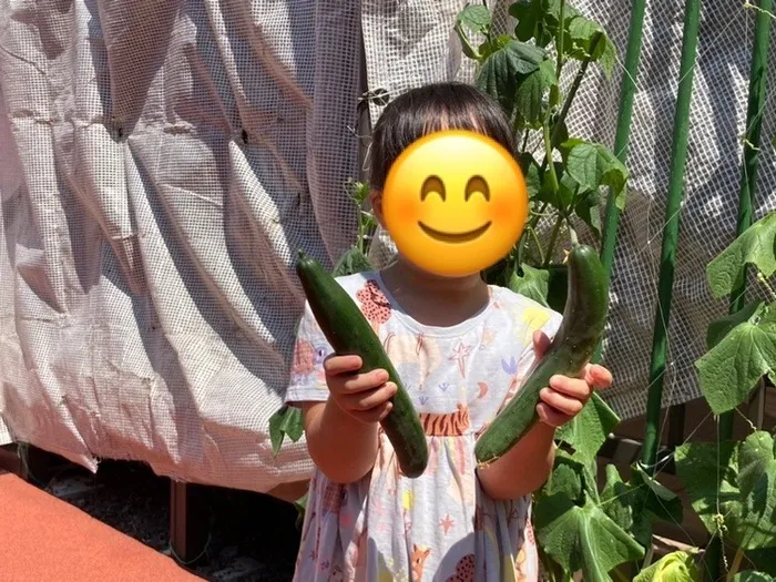 【2023年8月1日OPEN】ハートキッズ小金井/収穫🥒