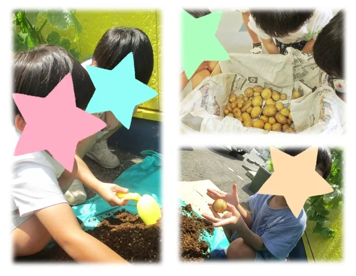 あそび王国　野田本部事業所	/じゃがいもが豊作でした✨