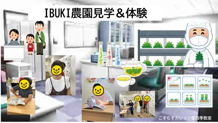 就労準備型放課後等デイサービスこすもすカレッジ豊四季教室/IBUKI農園見学体験！