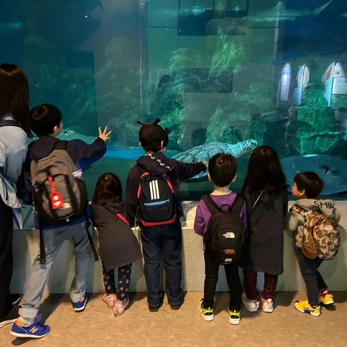 グローイング/おたる水族館に行きました🐬