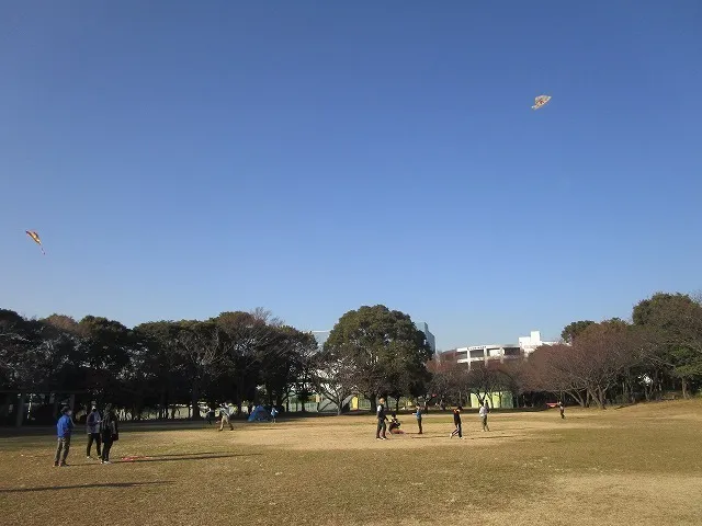 アプリ児童デイサービス川崎桜本/アプリ川崎桜本　空へ飛ばそう！カイトや夢を！